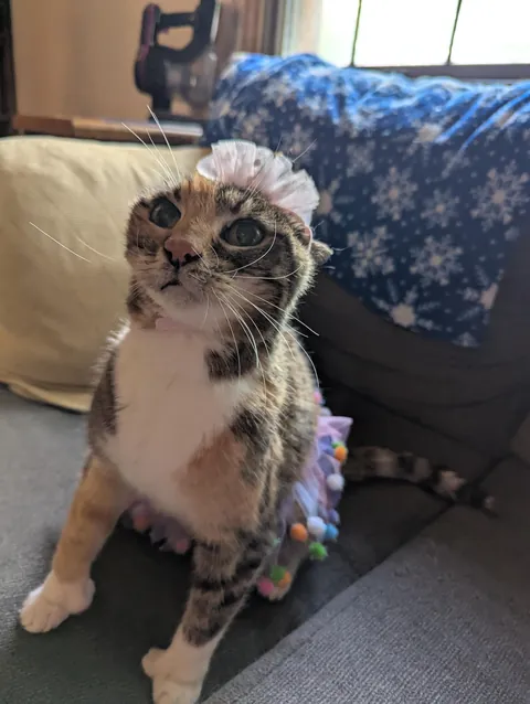 Kate turned 20! 🎉