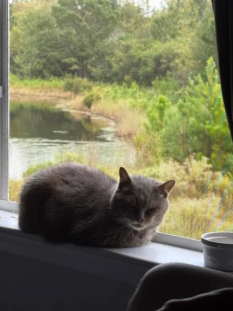 cat distribution system did its thing today