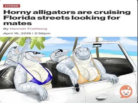 Get moving, we going down to Florida (Hannah Frishberg)