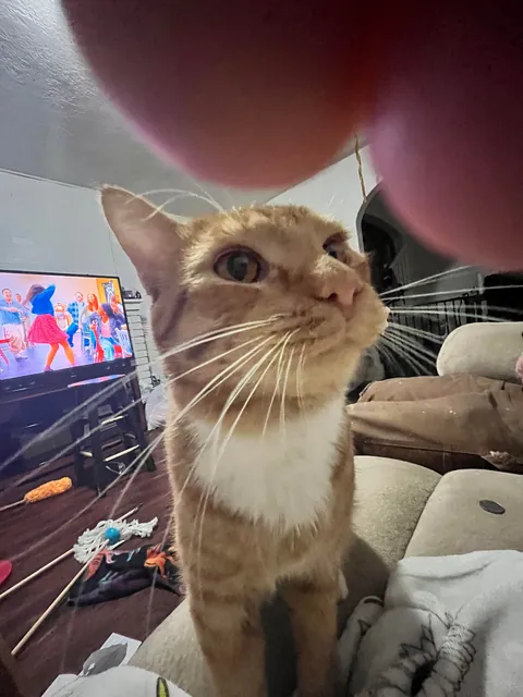 Why are my boys whiskers SO long?