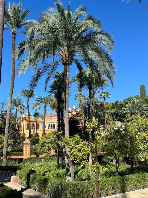 A trip to Andalucía