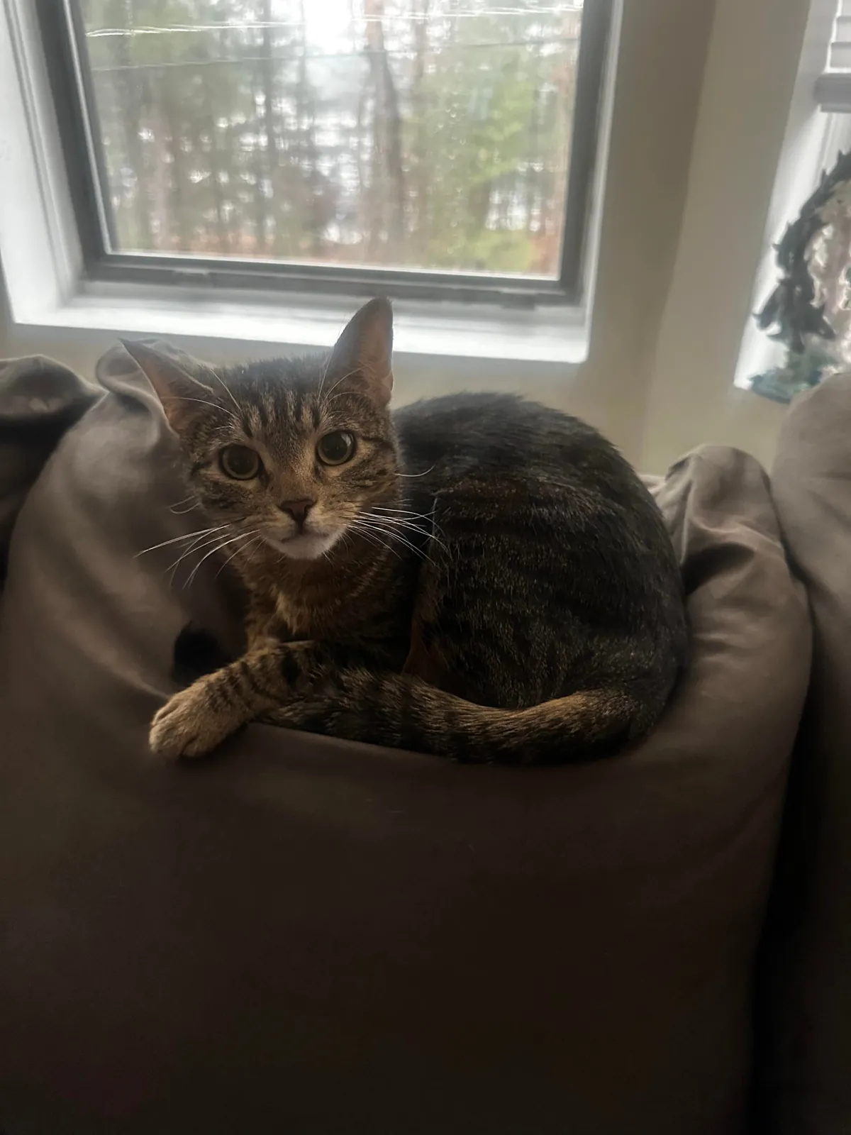 Every time I come home after being away for a prolonged period of time, my cat looks at me like I just broke into to her house