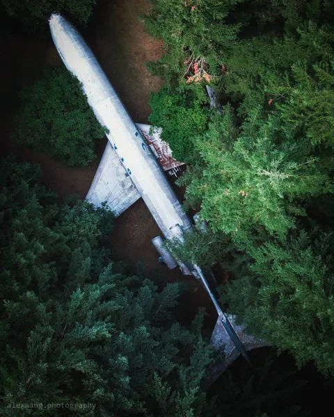 ITAP of a plane in the forest