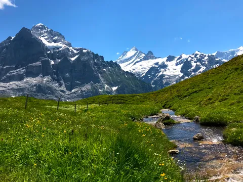 Went on a hike in Grindelwald, Switzerland