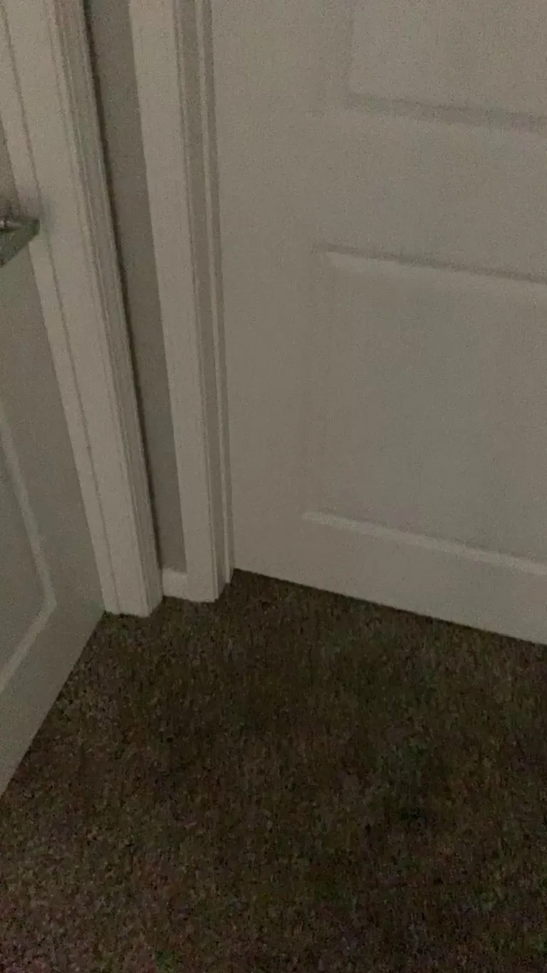 There is nothing better than coming home to these two.