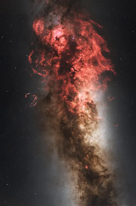 The Ignited Cygnus [OC]